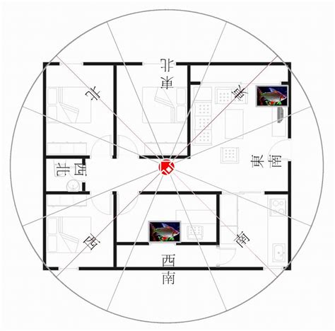 坐西南朝東北財位|坐西南朝東北財位之佈置